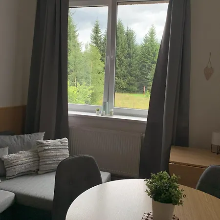 아파트 Apartman V Udoli Benesov nad Cernou
